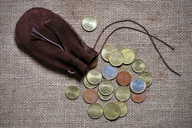 cizí mince